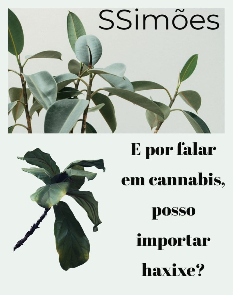 E por falar em cannabidiol/cannabis, posso importar haxixe ou outra droga qualquer?